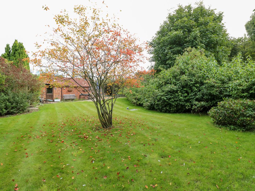 A garden with a tree and benches at The Retreat in Norwich