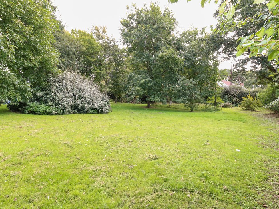 A garden with trees and grass at The Retreat in Norwich