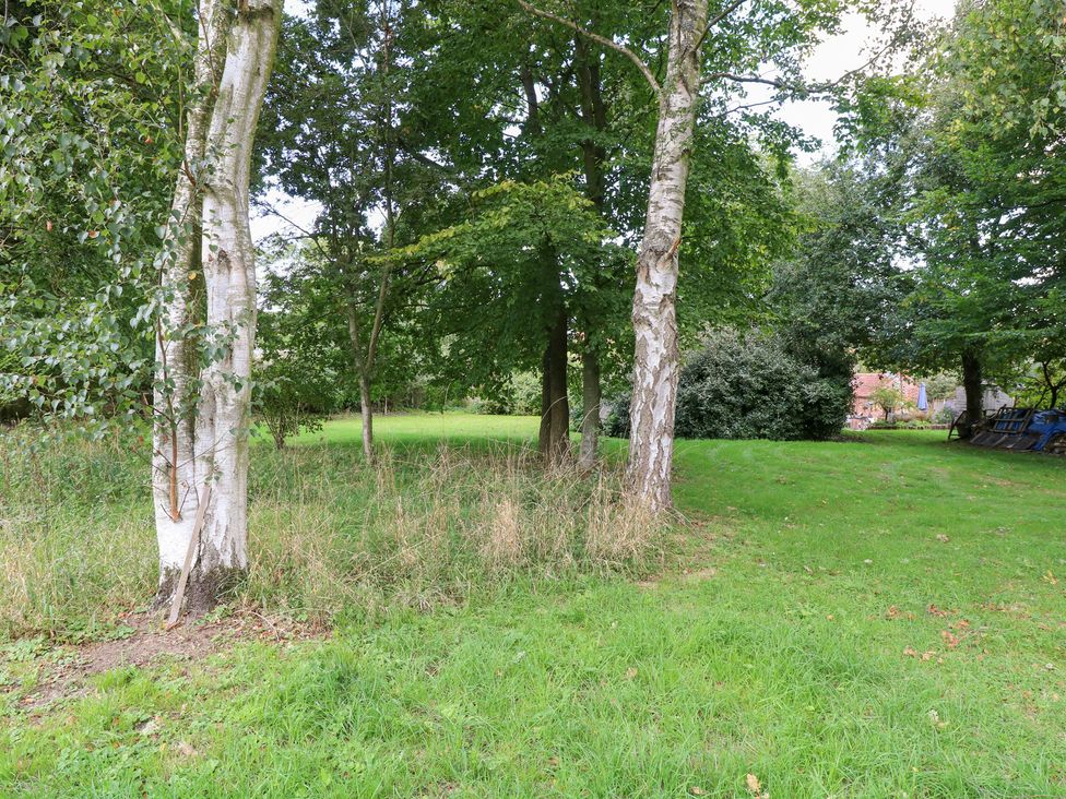 An outdoor area with trees and grass at The Retreat in Norwich