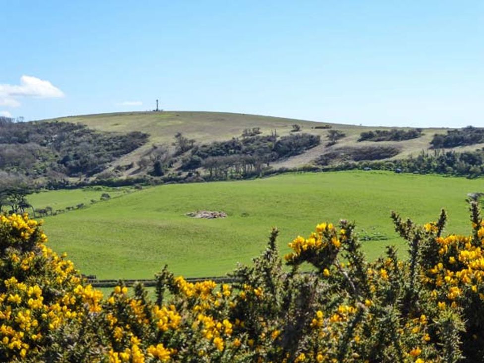 A view of hills and yellow flowers under a blue sky at Sheepwash Barn 