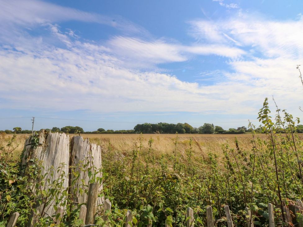 A field with grass and trees at Number 38 in Chichester