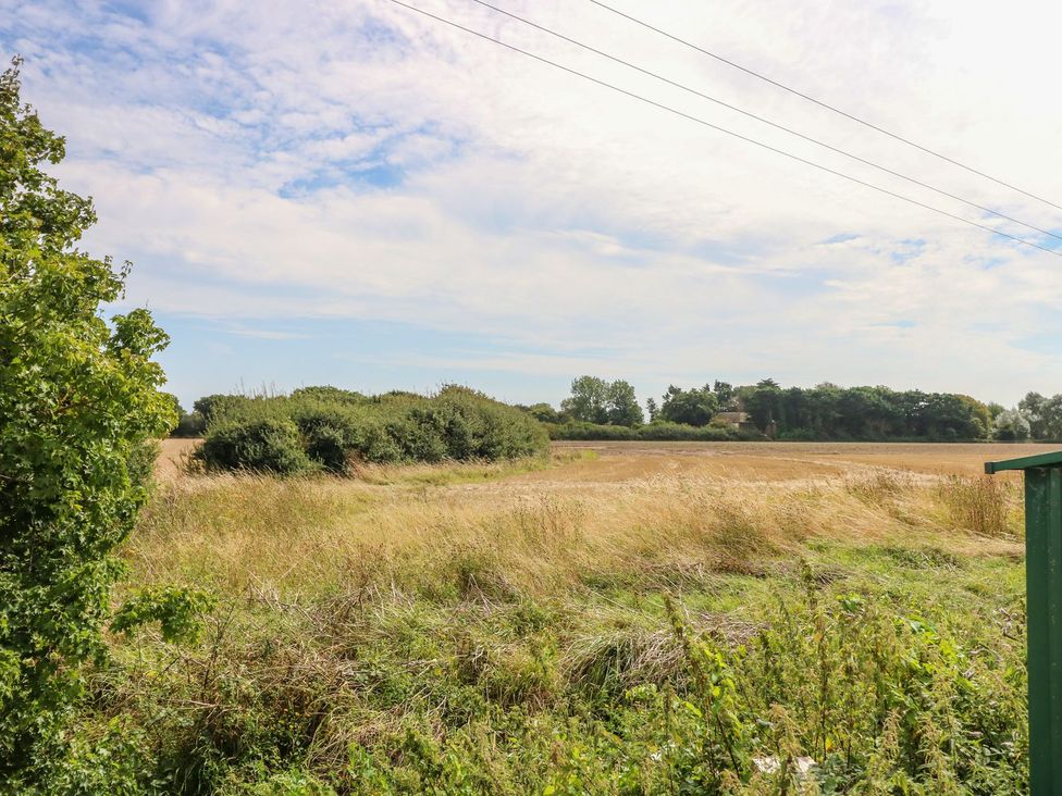 A field with trees and power lines at Number 38 in Chichester