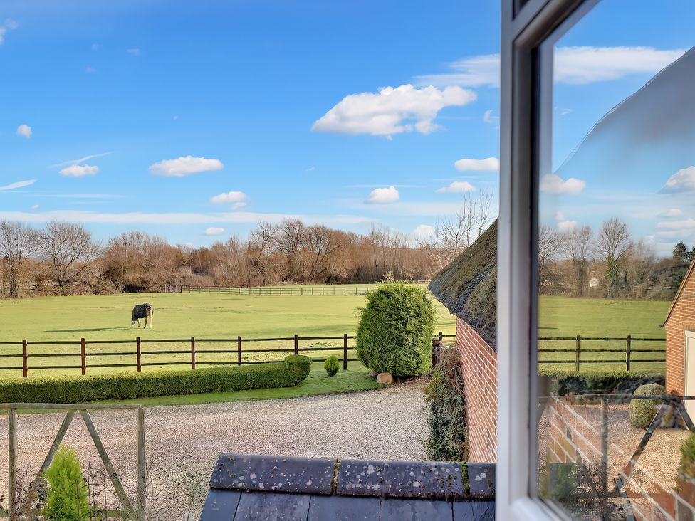 A view of a cow in a field at Lake Cottage in Swindon