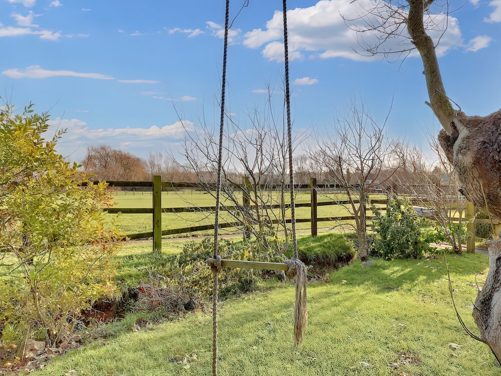A swing hanging from a tree in a garden at Lake Cottage in Swindon