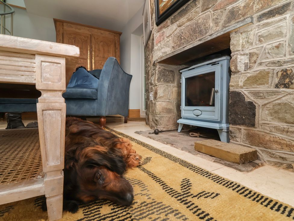 A living room with a dog resting near a wood stove at Rookery Cottage in Lynton