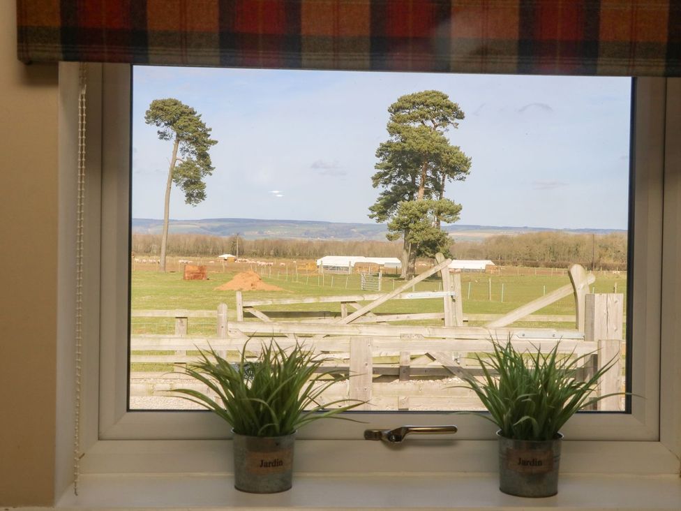 A view from a window showing plants and a field at 1 Small in Malton