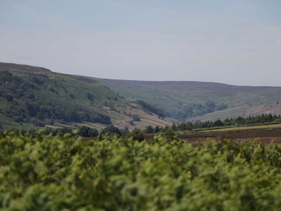 A view of hills and a valley with trees at 1 Small in Malton