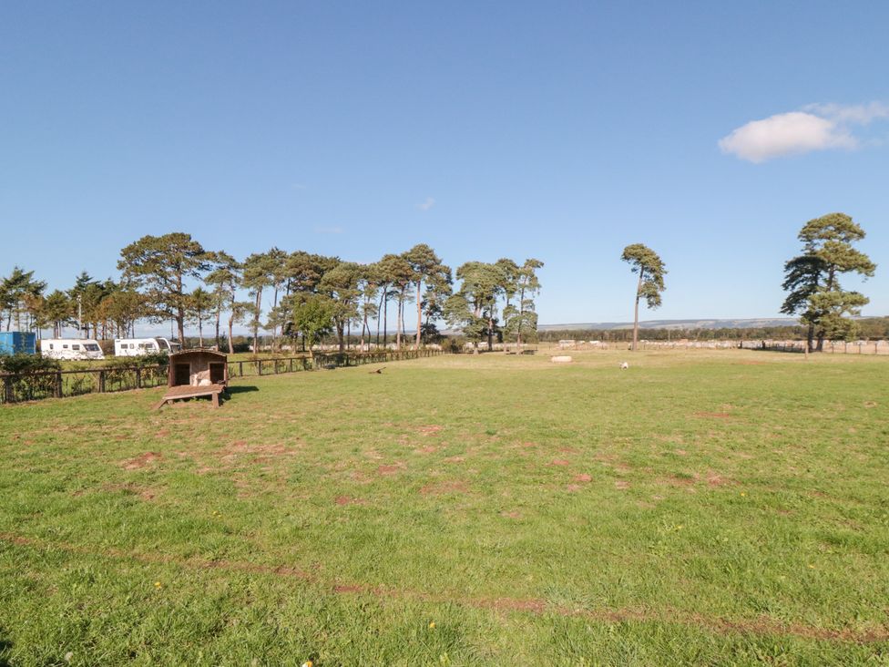 An open field with trees and a shed at East Cottage in East Knapton near Rillington