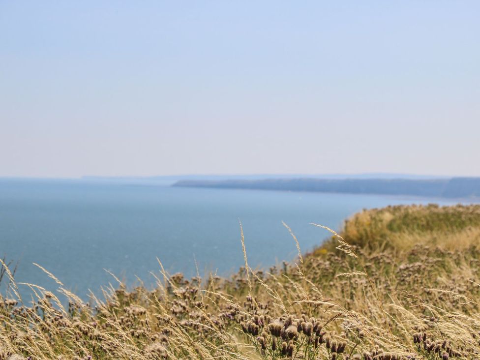 A cliffside overlooking the ocean at a coastal location