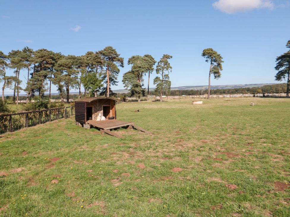 An outdoor area with a dog kennel and trees at West Cottage in East Knapton near Rillington