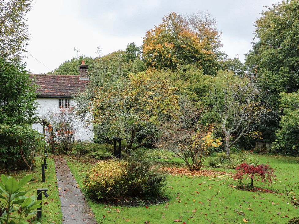 A garden with trees and a pathway at Cherry Cottage