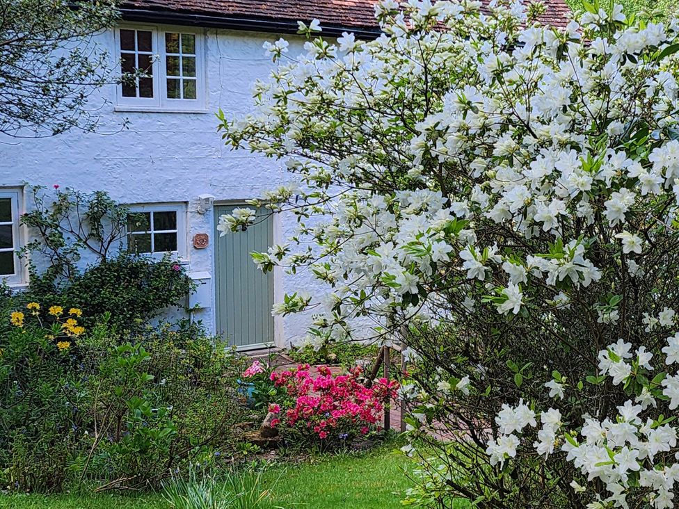 A house with a green door and flowers in the garden at Cherry Cottage in Crowborough