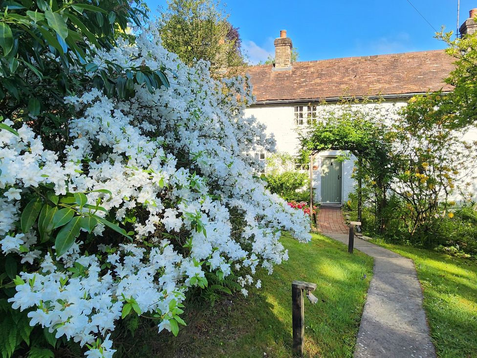 A garden with white flowers and a pathway at Cherry Cottage in Crowborough