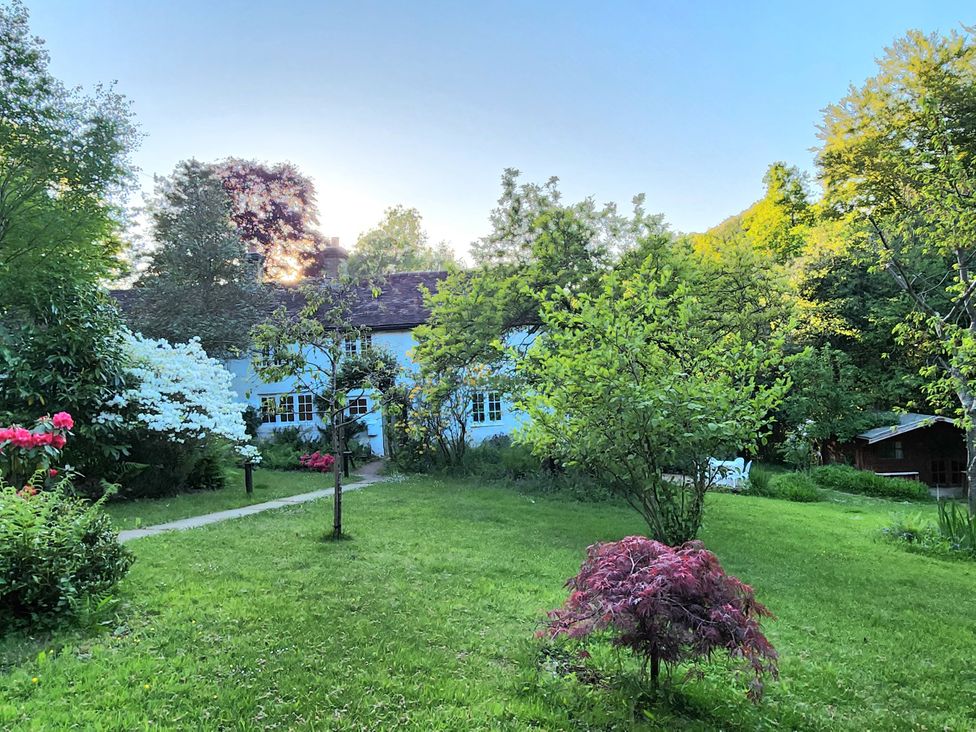 A house and garden with trees and flowers at Cherry Cottage in Crowborough
