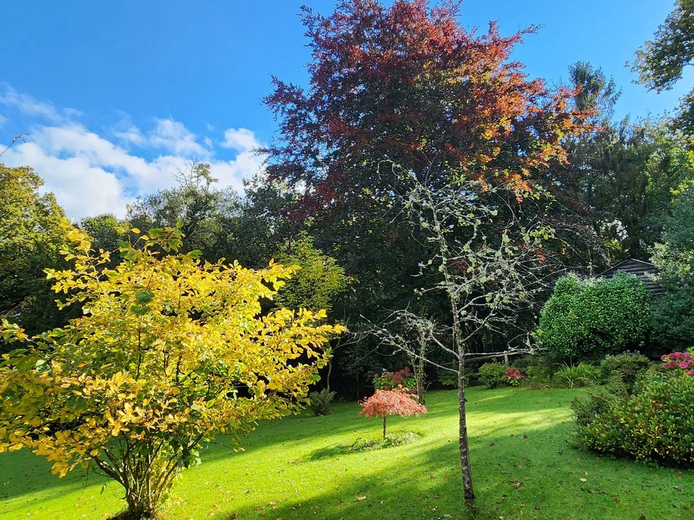 A garden with various trees and grass at Cherry Cottage in Crowborough