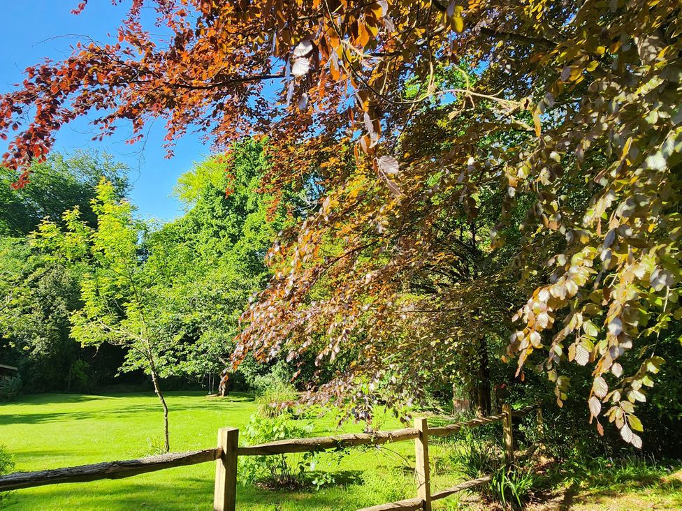 A garden with trees and a wooden fence at Cherry Cottage in Crowborough