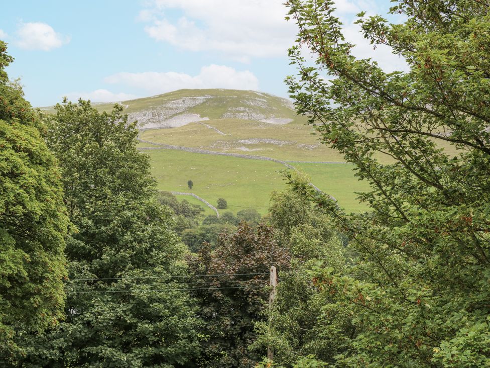 A view of a hill with trees in the foreground at The Treetop