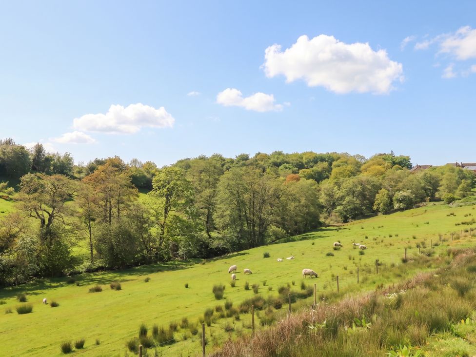 A field with sheep and trees under a blue sky at Number 35 