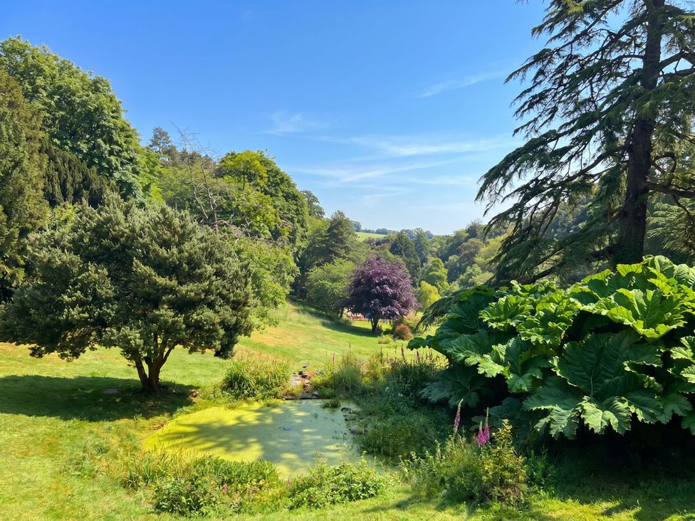 A garden with a pond and trees at 2 Sheplegh Court Blackawton near Dartmouth