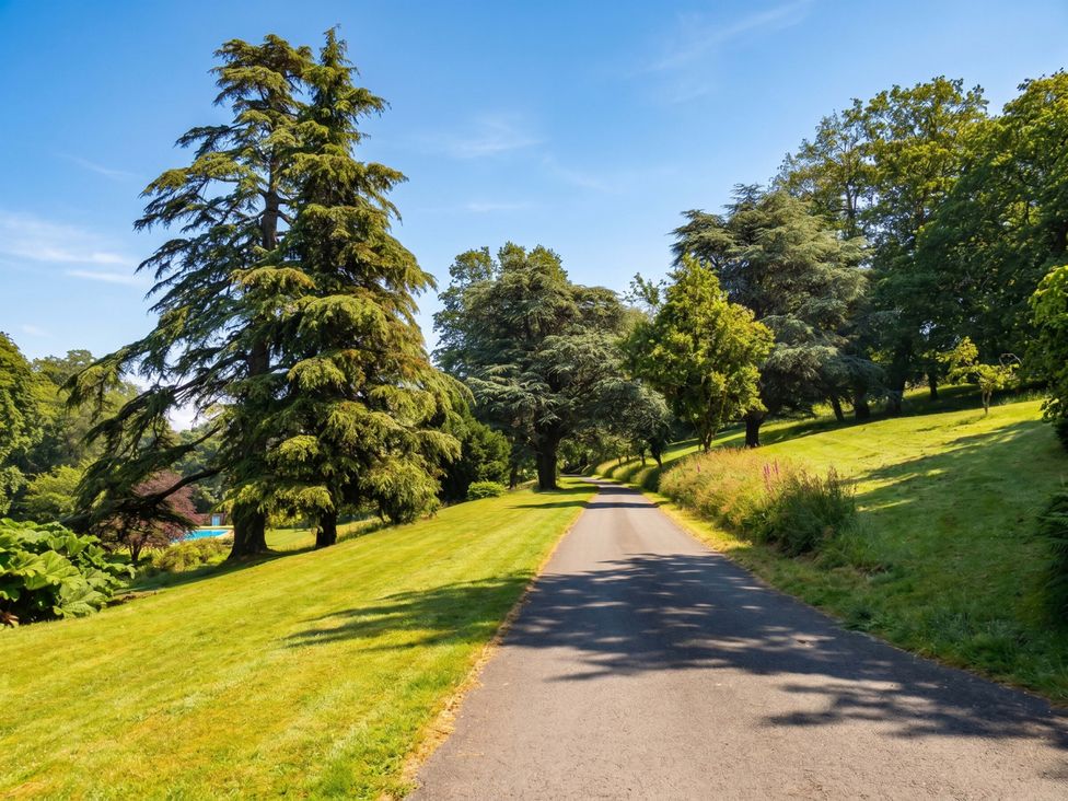 A path lined with trees in a park setting at 2 Sheplegh Court Blackawton near Dartmouth