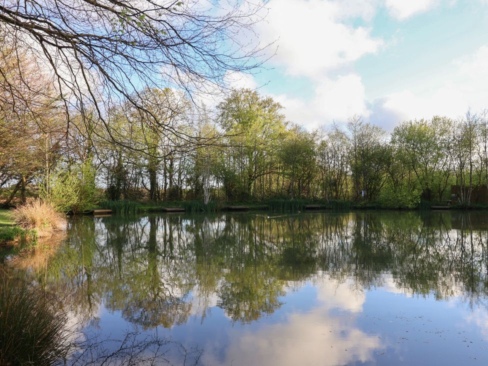 A pond surrounded by trees and grass at Mayfly Lodge St Tudy