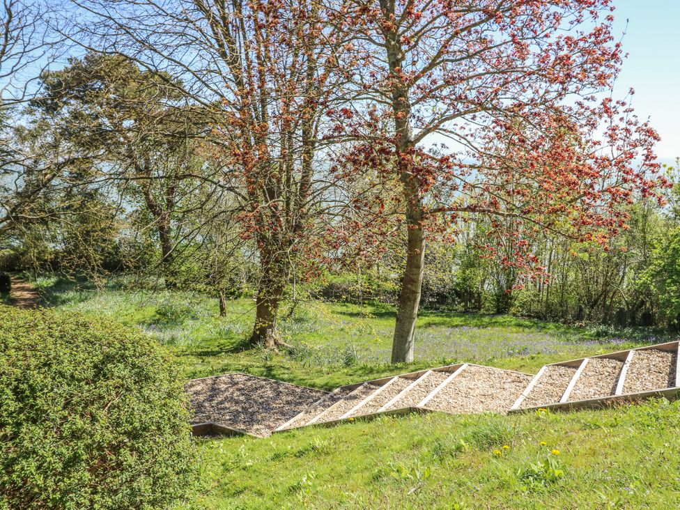 A path leading through grass and trees at 6 Priory in Shanklin