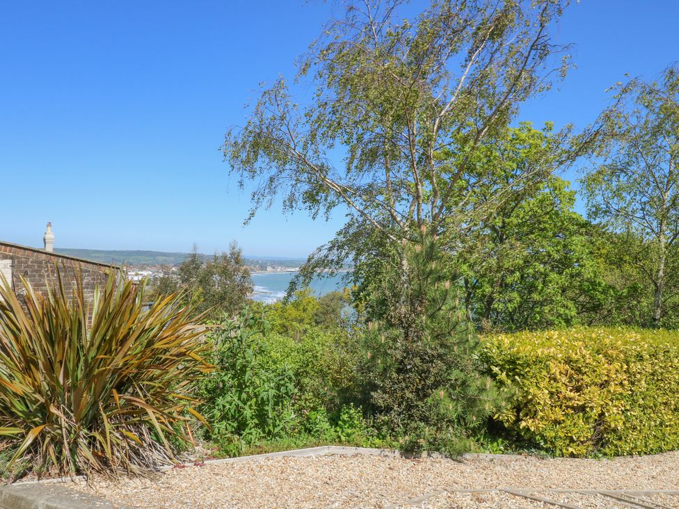 A view of the coastline with trees and plants at 6 Priory in Shanklin