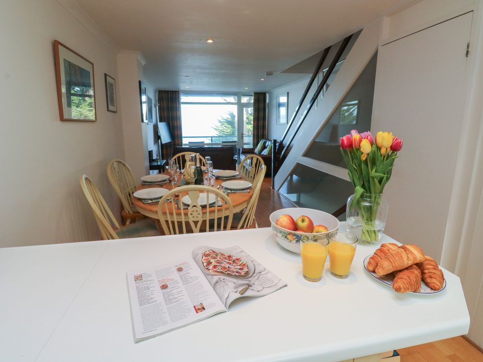 Snowy Owl View at The Breakwater - Devon - 1183762 - thumbnail photo 11