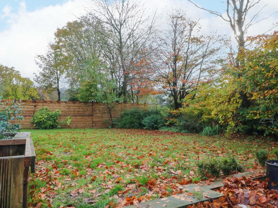 A garden with fallen leaves and trees at Cabin