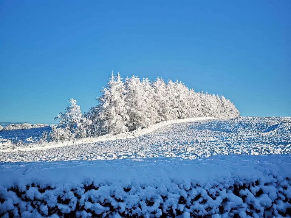 A landscape featuring snow-covered trees and hills in clear weather at The Cabin in Crawshawbooth