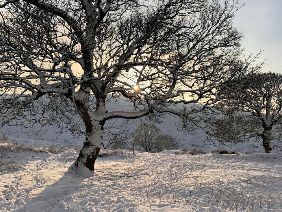 A snowy landscape with trees and the sun in the background at The Cabin Crawshawbooth