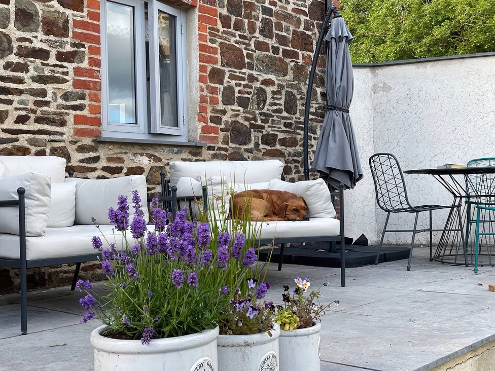 An outdoor seating area with a dog on a couch at The Dairy in Bridgerule