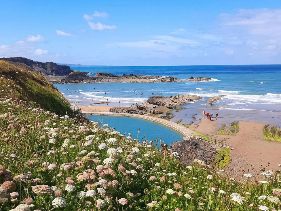 A beach scene with people and flowers at The Dairy in Bridgerule