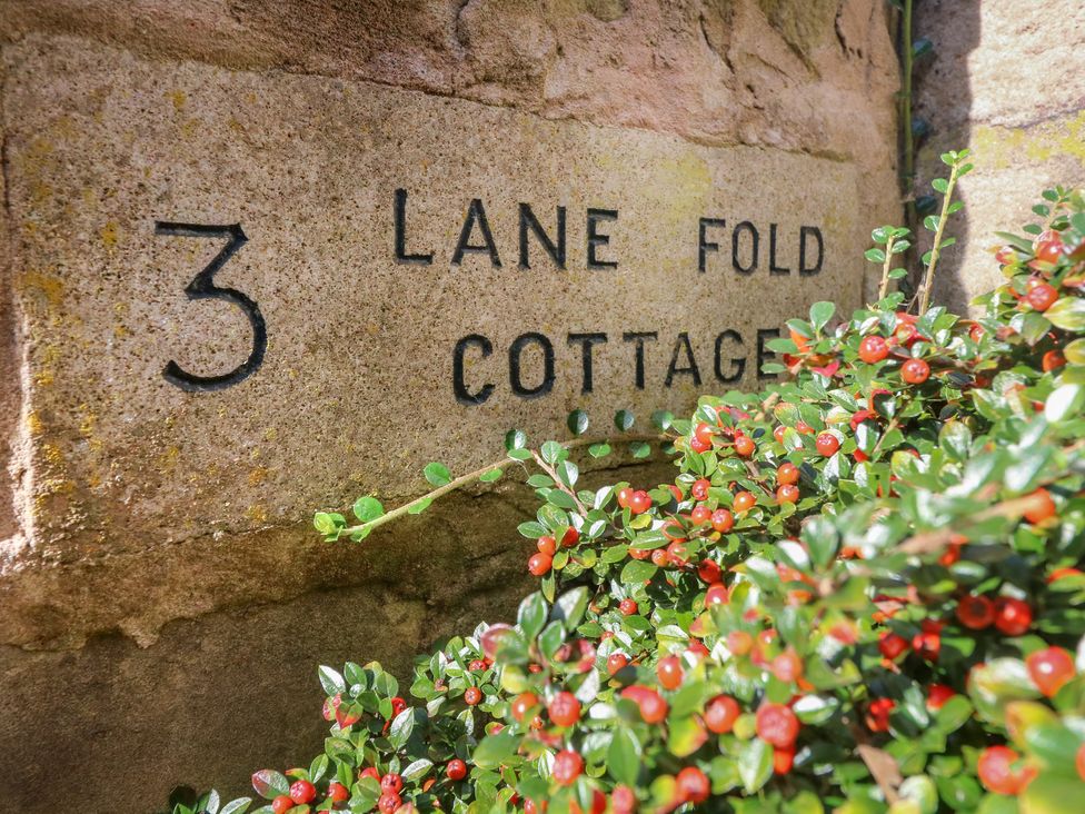 Lane Fold Cottage - Yorkshire Dales - 11838 - thumbnail photo 14