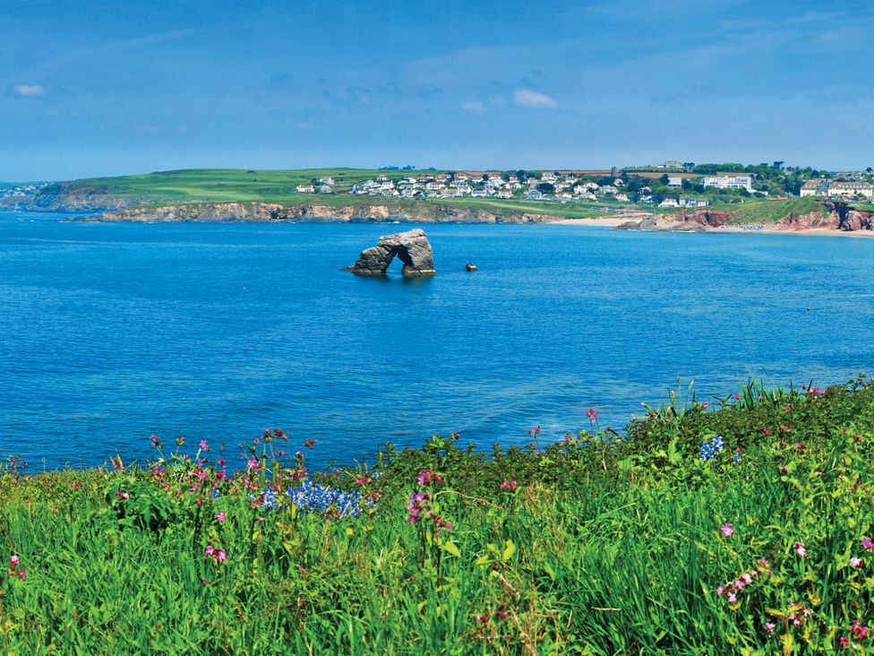 A view of a rock formation in the ocean with flowers and grass at 8 Thurlestone Rock in Kingsbridge