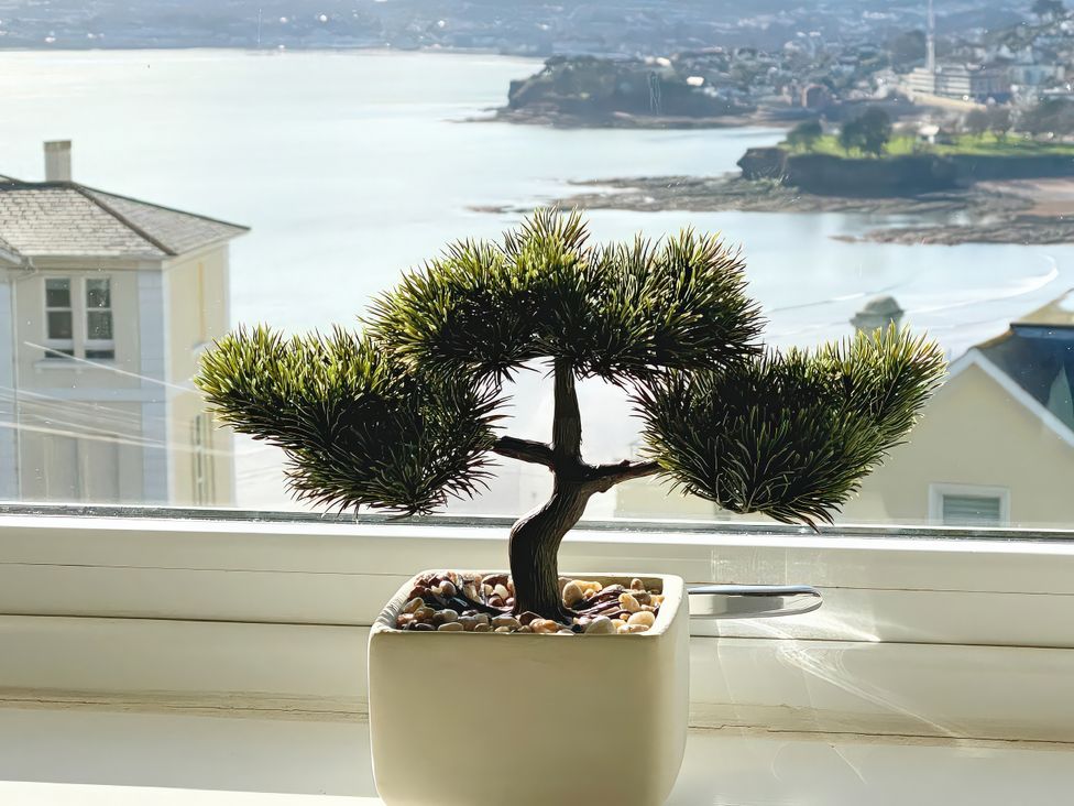 A bonsai tree on a window sill at Sea View Apartment, Ellington Court in Torquay