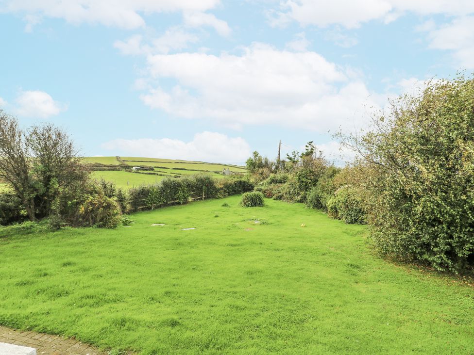 A garden with grass and trees at Harbour Lights in Holyhead