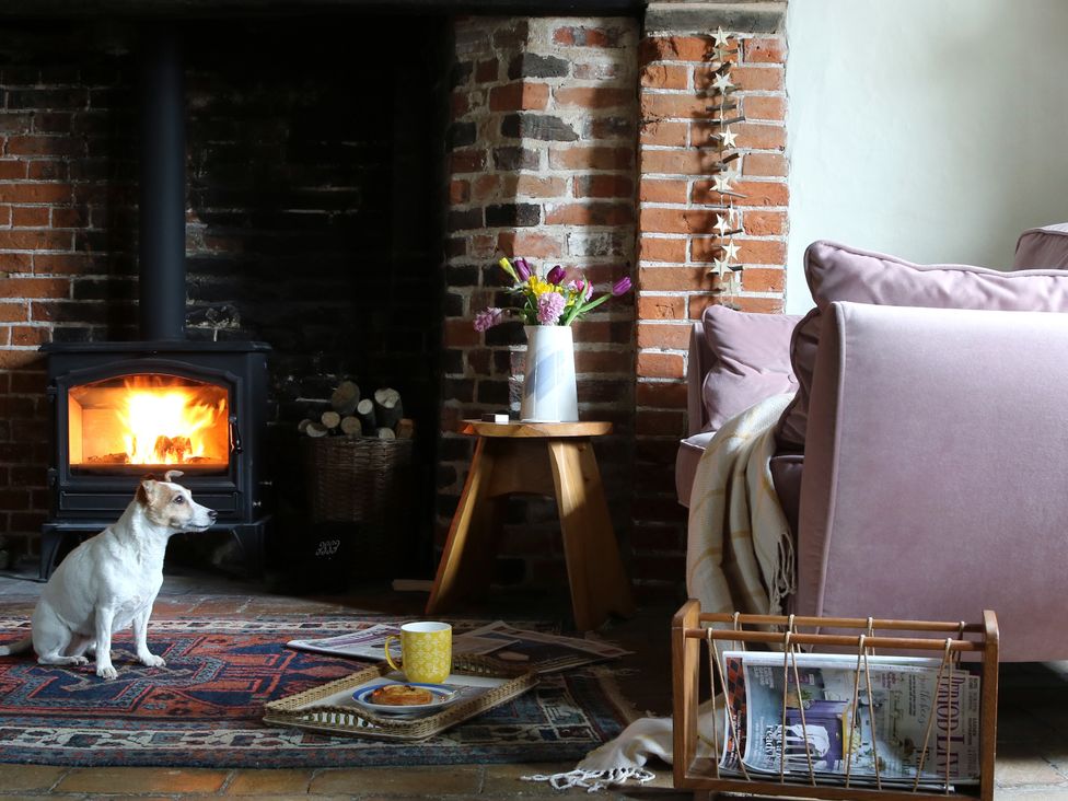 A living room with a dog and fireplace at The Old Post Box 
