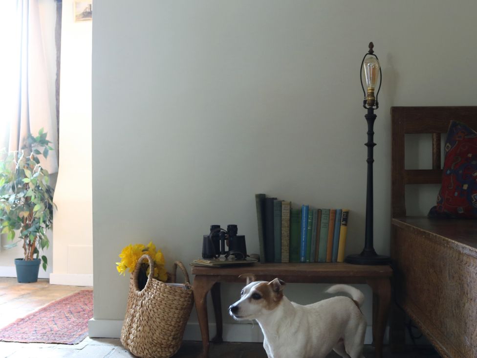A living room with a dog and books on a bench at The Old Post Box 