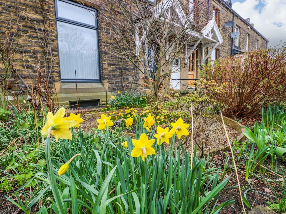 A garden with daffodils in front of a house at Fairfield House in Almondbury near Huddersfield