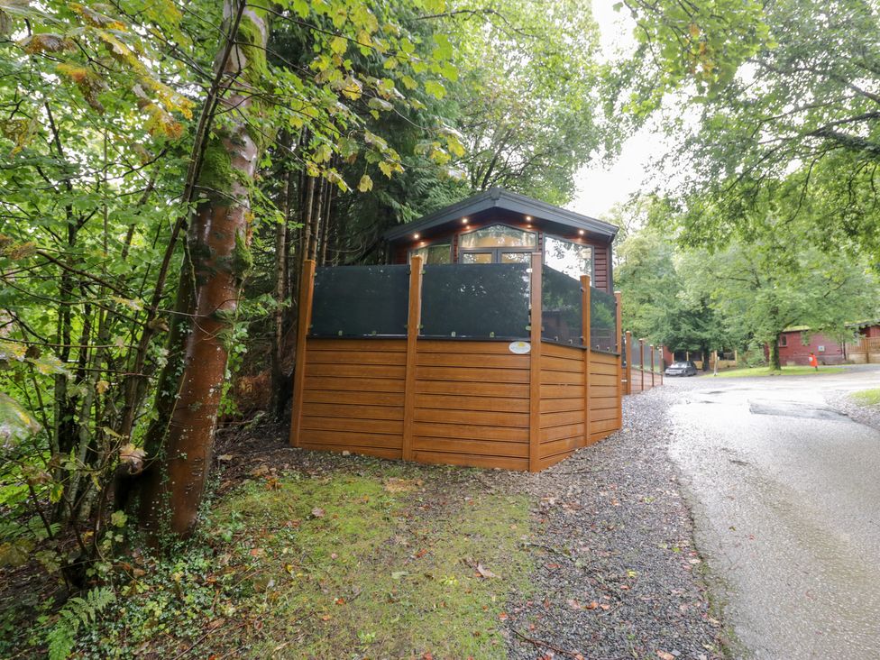 A cabin surrounded by trees at Feather Hill Lodge in Windermere