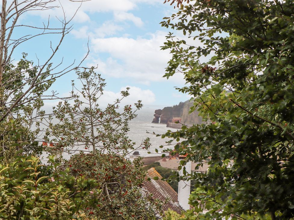 A view of cliffs and ocean with trees framing the scene at Mayflower View in Dawlish