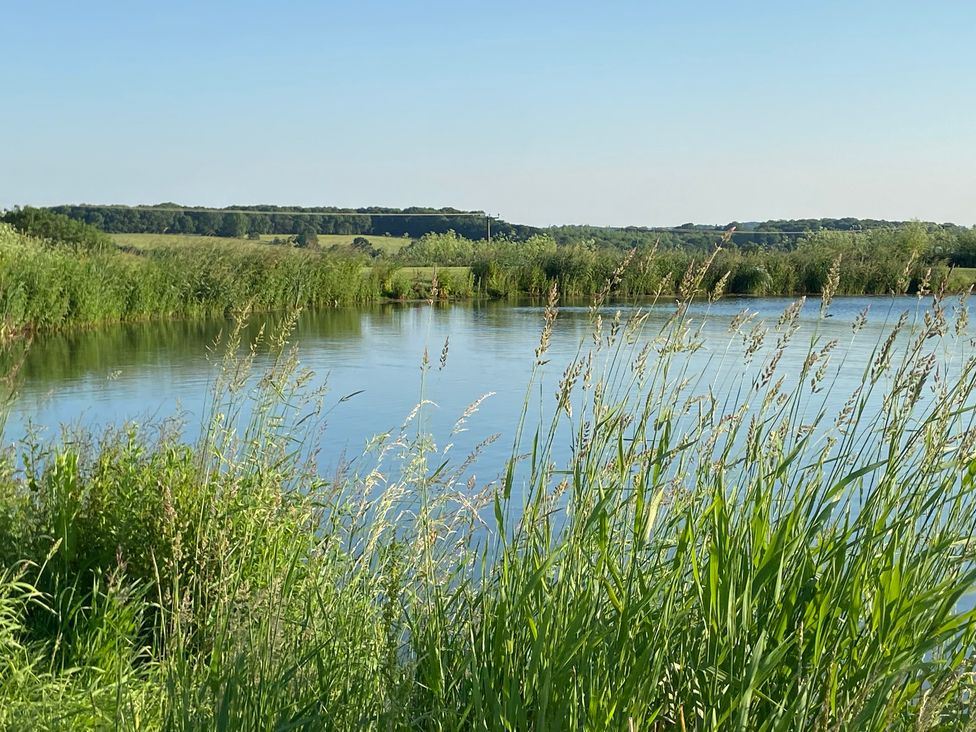 A view of a pond with grass and reeds at The Cart Shed in Bedford