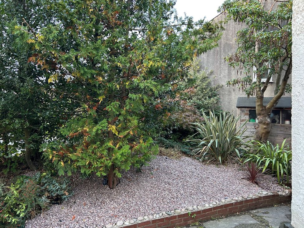 A garden with a tree and gravel area at 15A Currier Lane Ashton-under-Lyne