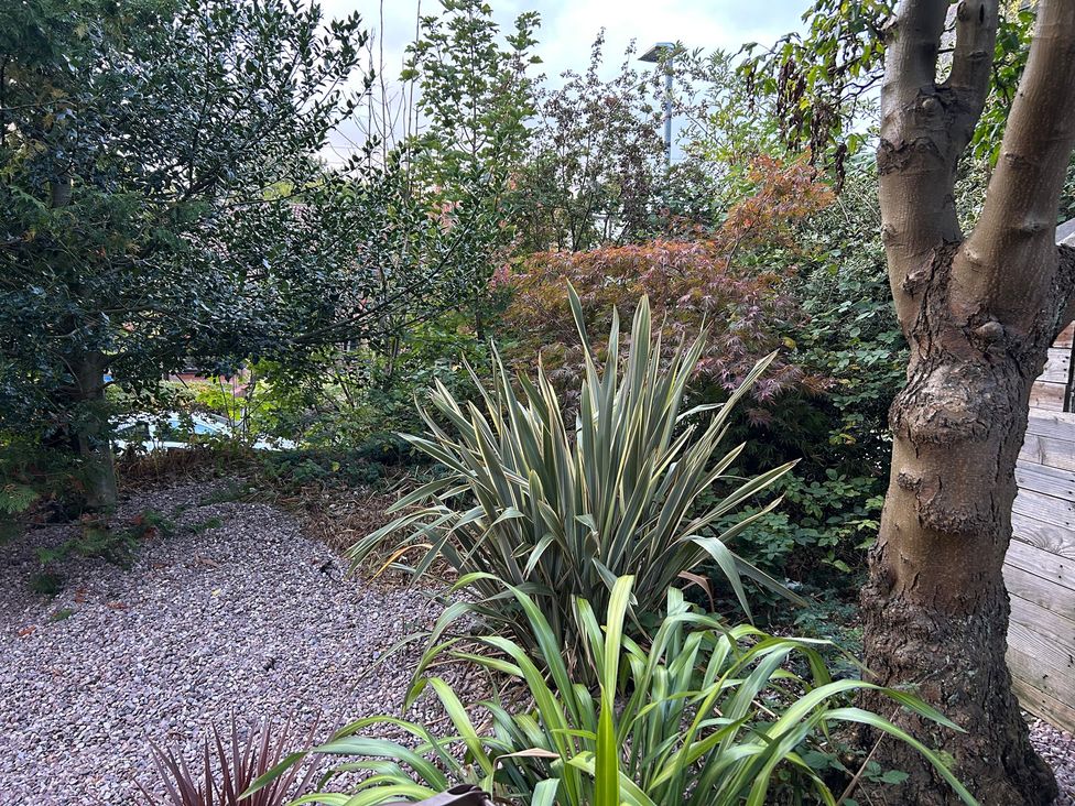 A garden with various plants and a gravel area at 15A Currier Lane Ashton-under-Lyne