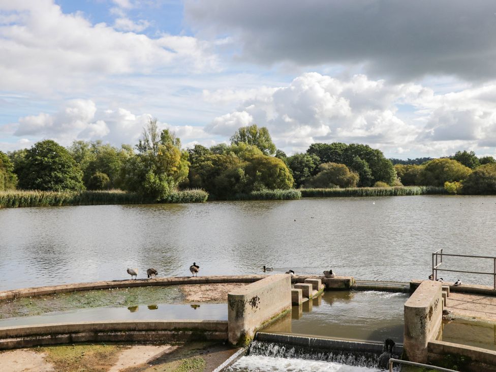 A lake with a concrete structure and birds at Redwood Cottage Bristol
