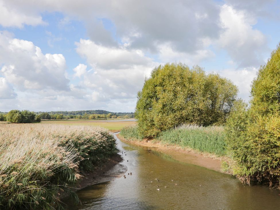 A river surrounded by reeds and trees at Redwood Cottage in Bristol