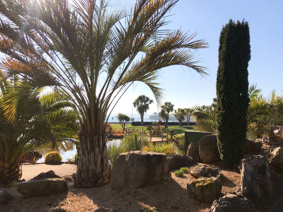 A garden with palm trees and rocks at The Falstone Apartment in Torquay
