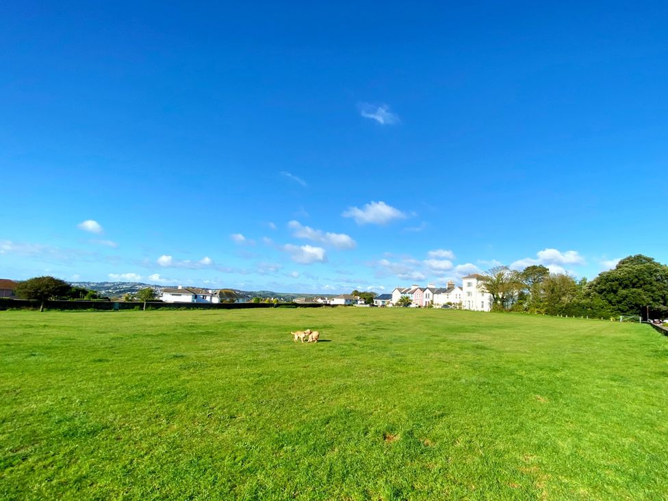 A grassy field with dogs and houses in the background at Lower Stable - The Stables Apartments at Meadfoot Bay, Torquay