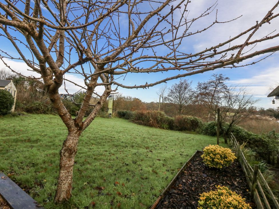 A garden with a tree and grass at Honeysuckle Cottage in Smallridge Nr. Axminster